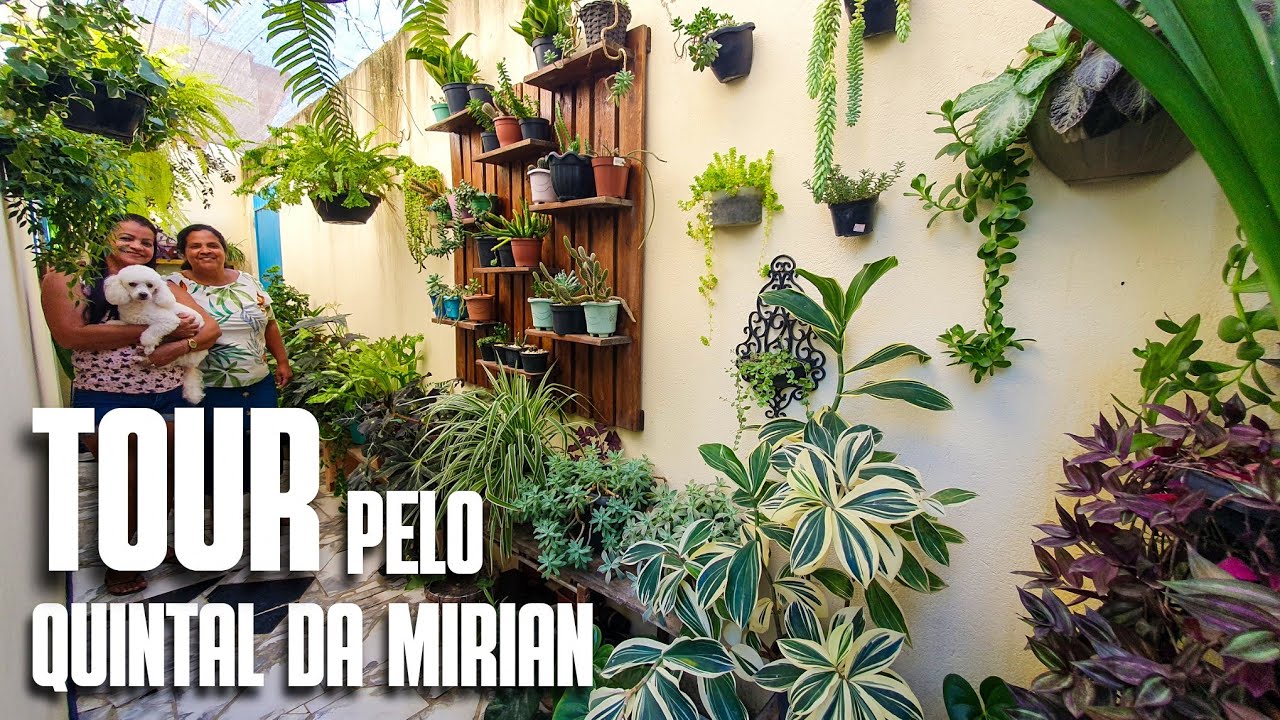 TOUR PELO QUINTAL DA MIRIAN: UM ESPAÇO PEQUENO, ORGANIZADO E CHEIO DE PLANTAS LINDAS