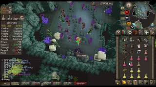 Mystics Lure