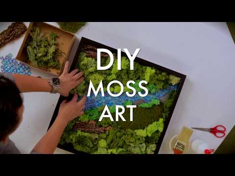 Video: DIY Moss Wall Art Ienes Dabu Telpās