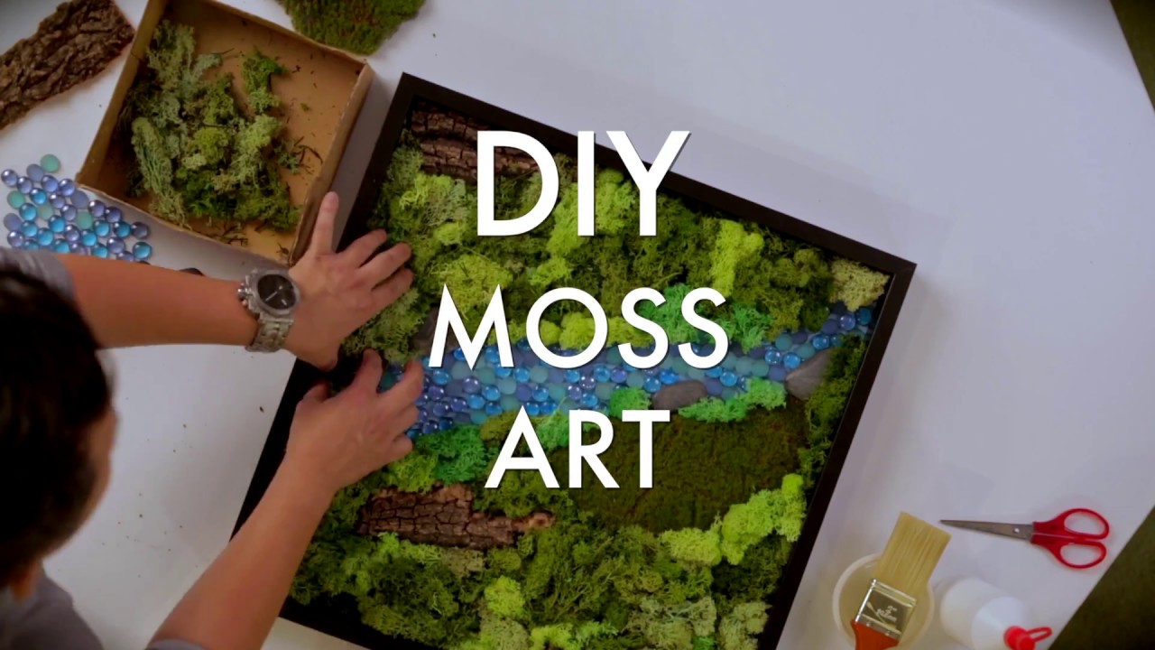 DIY Moss Planter  Chronicles of Frivolity