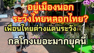 อยู่เมืองนอกระวังไทยหลอกไทย⁉️ไทยต้มไทยเสียใจกันเยอะ⁉️ระวังการคบคนเพื่อนไทยในต่างแดน⁉️ชีวิตเมียฝรั่ง!