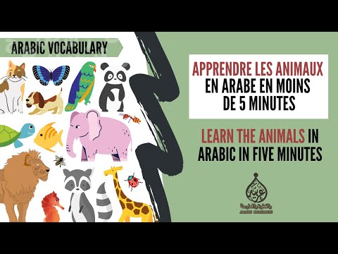 Learn forest animals in Arabic in 5 minutes