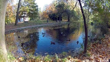 gitup git2 zywiec park autumn movie 1080p 60 fps