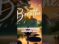 Breathing in Anxiety Relief 🦋 #guidedmeditation #anxiety relief#meditation #mindfulness