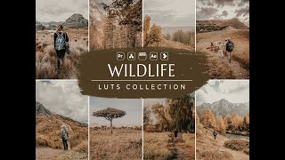 Wildlife Video LUTs- Influencer LUTs- Video Preset- Vn LUTs- LUT for Video Filter- Vn Video Editor screenshot 3