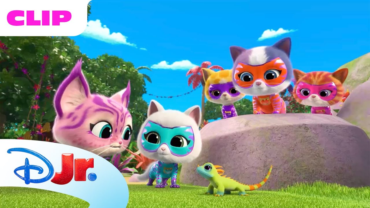 SuperKitties | Selva Selvagem