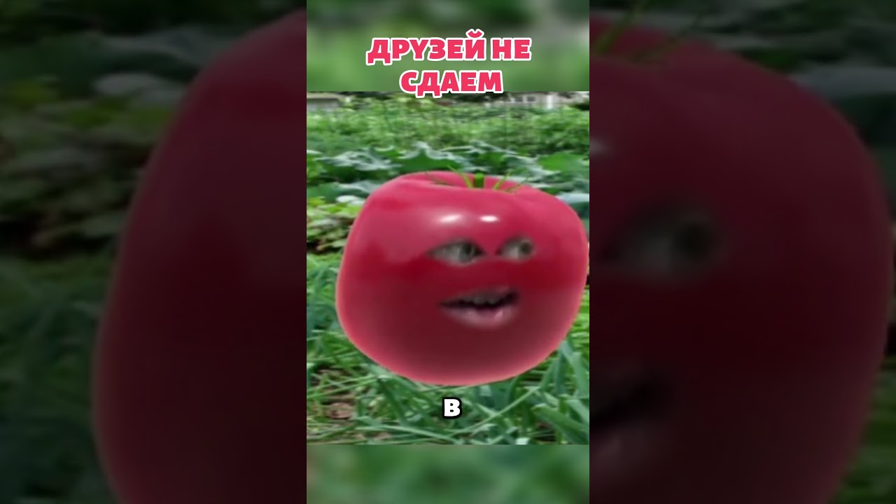 Моменты со стрима 