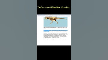 Dinosaur Soft Tissue #Shorts