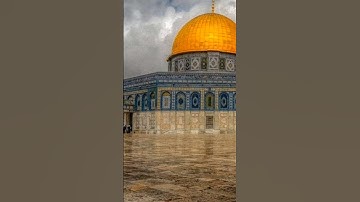 سورة الضحى بصوت الشيخ أبراهيم محمد