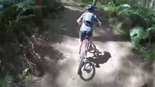 MOV 0397