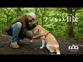 ヒロシとエリーのワンちゃん日記
