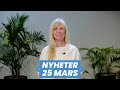 Undvik straffavgifter för uthyrning