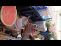 ROAD SIDE MAKING WATERMELON JUICE AND SUPER WATERMELON CUTTING