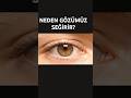 Neden Gözümüz Seğirir? (Miyokimi) #bilim #türkçe #shorts #miyokimi