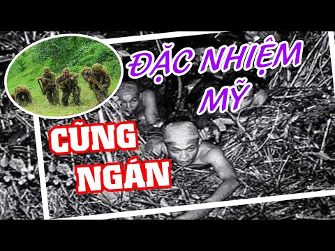 Video Mỹ Và TQ Đều Ngán Lính Đặc Công Việt Nam | Cựu Binh Mỹ... - youtube