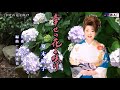 ♬ 幸せの花よ咲け / 夏木綾子 // kazu宮本