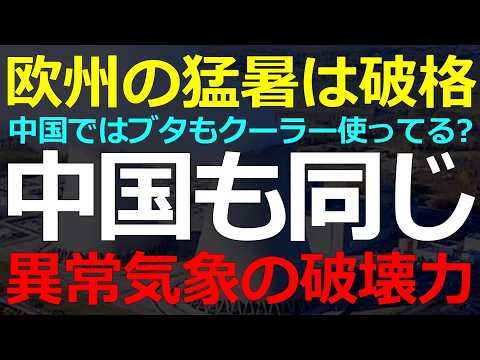 欧州の猛暑に「中国ではブタでもエアコン使ってる」という中国でも実は異常気象の被害が止まらない2026-07-03