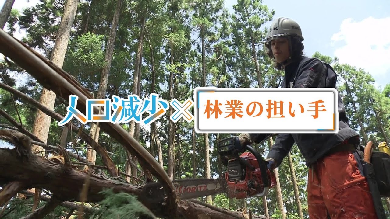「『シリーズ人口減少』⑱ 森林率日本一の高知の課題 林業の担い手不足を考える」2025/6/26放送
