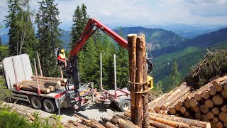 Process of harvesting and processing wood with use of ingenious technologies and machines