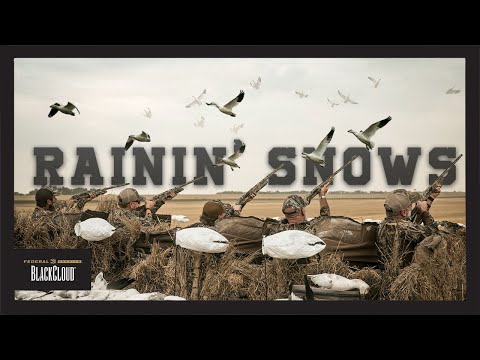 Early Season SNOW Goose Hunting | Realtree's Black Cloud