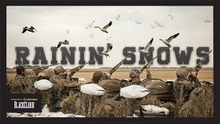 Early Season SNOW Goose Hunting | Realtree's Black Cloud