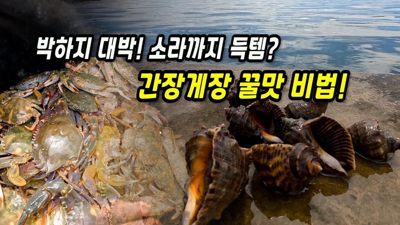박하지와 소라 대박! 해루질 꿀팁 공개!
