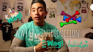 EP 1: Wag Walking Series - My Introduction to Wag! | with Jordan Mendiola