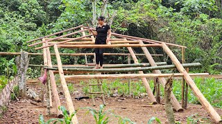 Building a House in the Woods from Scratch - Completed the installation of the house frame by Pham Tâm 3,404 views 3 weeks ago 36 minutes