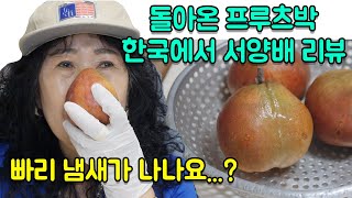 [Eng] Eating western pears in Korea!!!