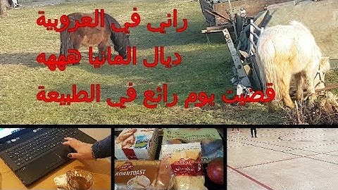 اليوم جري علي نجري عليك / العروبية ديال المانيا / رياضة/  تسوق وزيد وزيد 😉