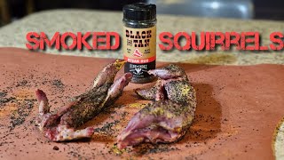 How to Smoke Squirrels!! #squirrel #cooking #smoker