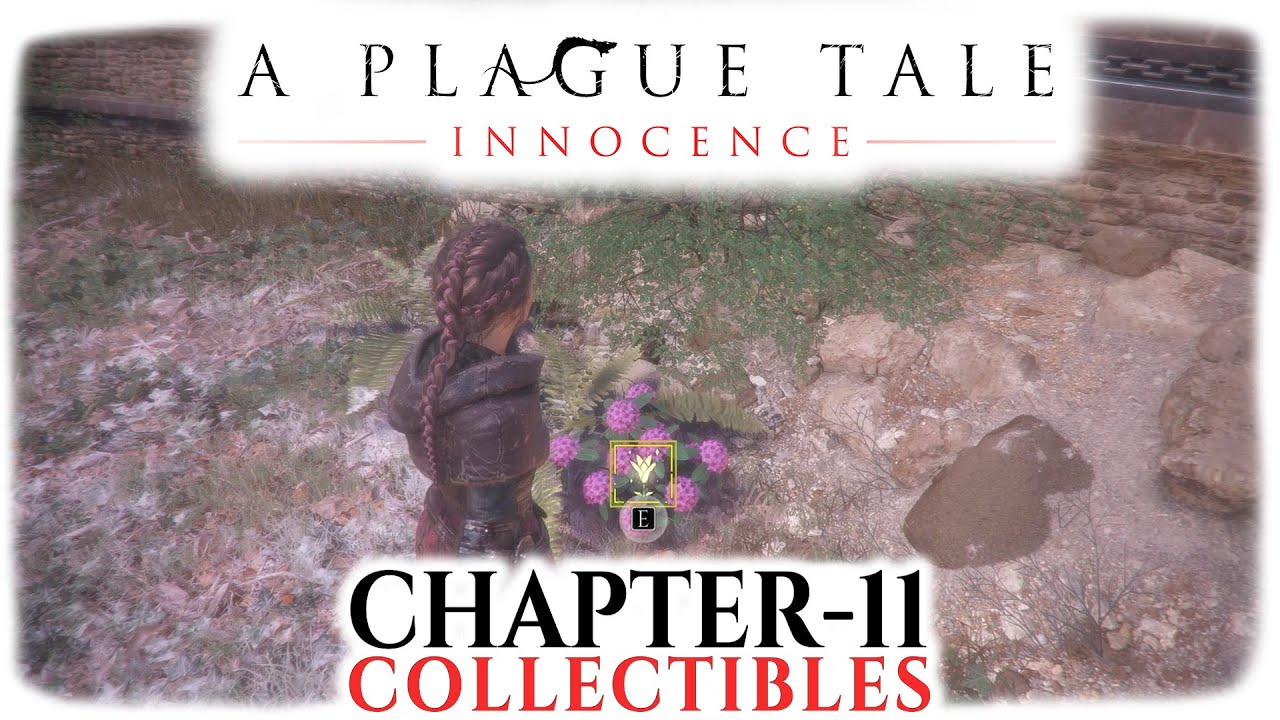 A Plague Tale Innocence | Chapter 11 - All Collectible Guide