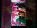 Jija saaliyo ki nok - jhok 😂 #ytshorts #viralreels #foryou #fyp #foryoupage