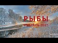 РЫБЫ таро прогноз на ФЕВРАЛЬ 2021