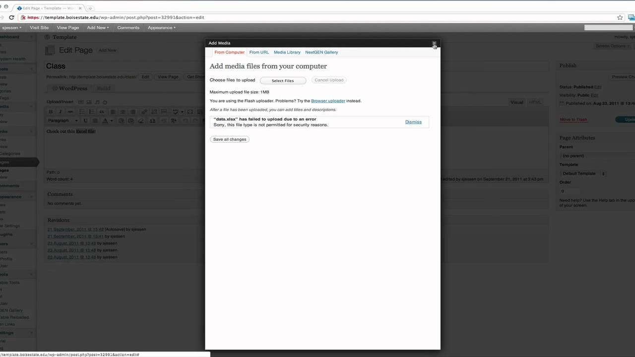 Configure File Types for Media Upload in WordPress