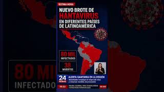 🚨🌎 ÚLTIMA HORA: Autoridades sanitarias investigan un supuesto brote de Hantavirus