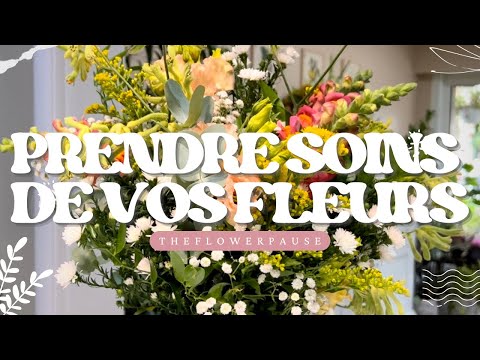 Fleurs coupées: Comment