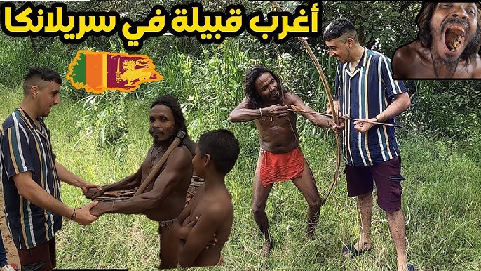 انهزام يرهن الأمل - La Meskiana