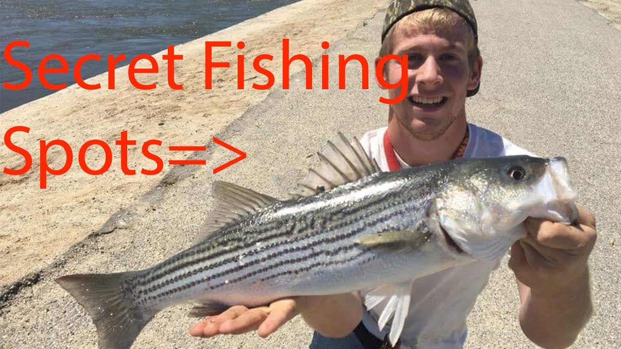 My Secret Fishing Spots in Bakersfield CA! YouTube