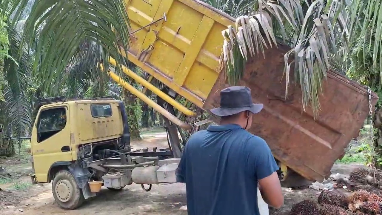 Tukang muat gacor,ilmu tinggi