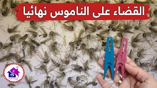 القضاء على الناموس نهائيا ♻️ تدابير منزلية لطرد الناموس من المنزل نهائيا (بدون مبيدات)