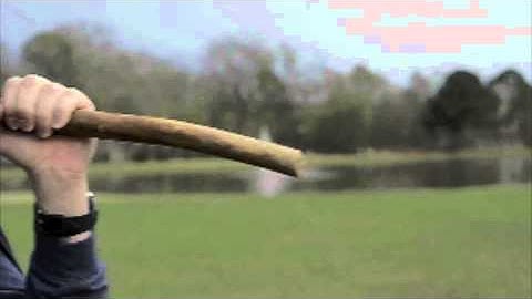 My Friend The Vampire