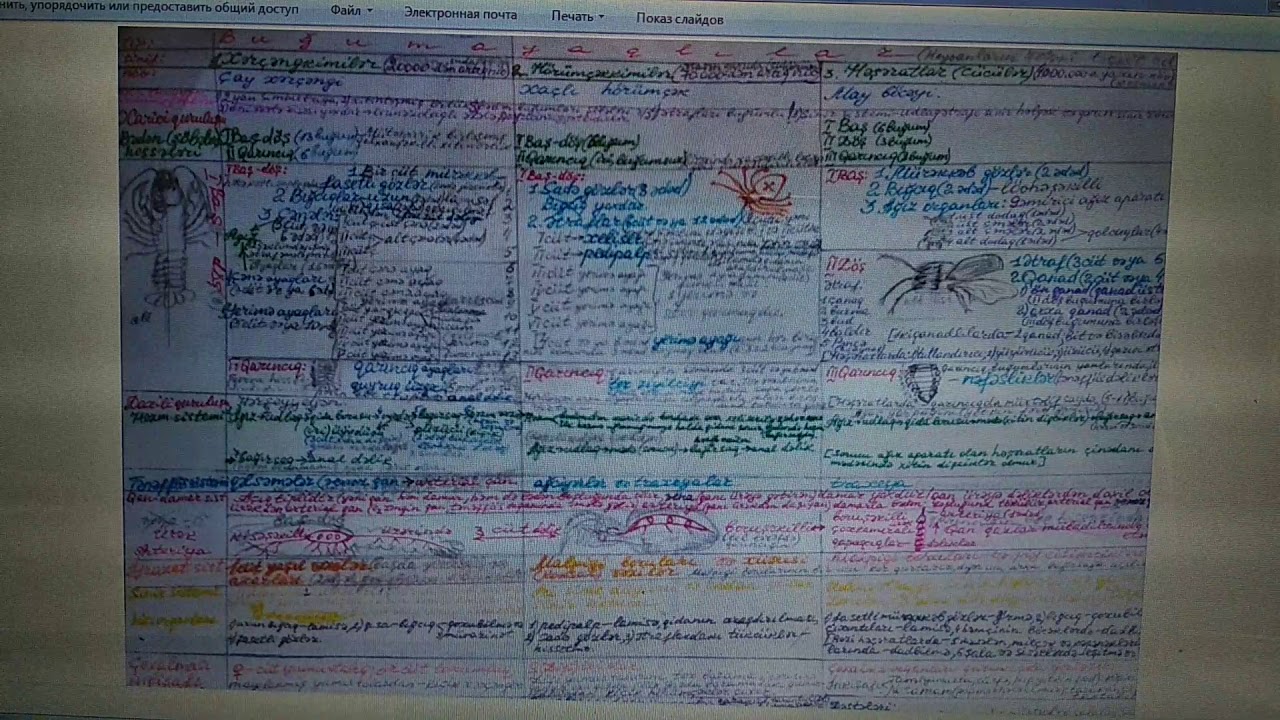 7-ci sinif/Buğumayaqlılar tipinin siniflərinin müqaisəli təkrarı/24 mart 2020