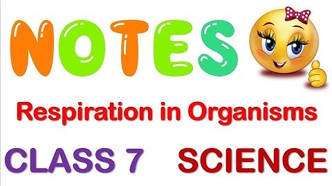 Respiration in Organisms Class 7 Science NOTES  #notes + full explanation Ch 10 Class 7 notes sci |