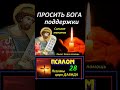 19 октября 2025 г.