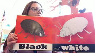 Ms. Hannah reads Big Bug Little Bug