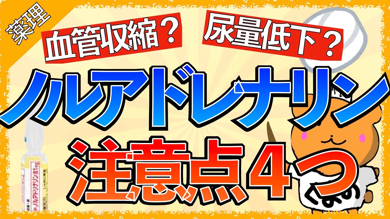 投与量に影響を与える可能性のある要因