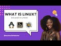 What is Linux? Simply Explained for Beginners in 4 Minutes! (2025)