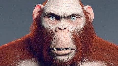 Godzilla x Kong Hollow Earth Battle with NSYNC Bye Bye Bye