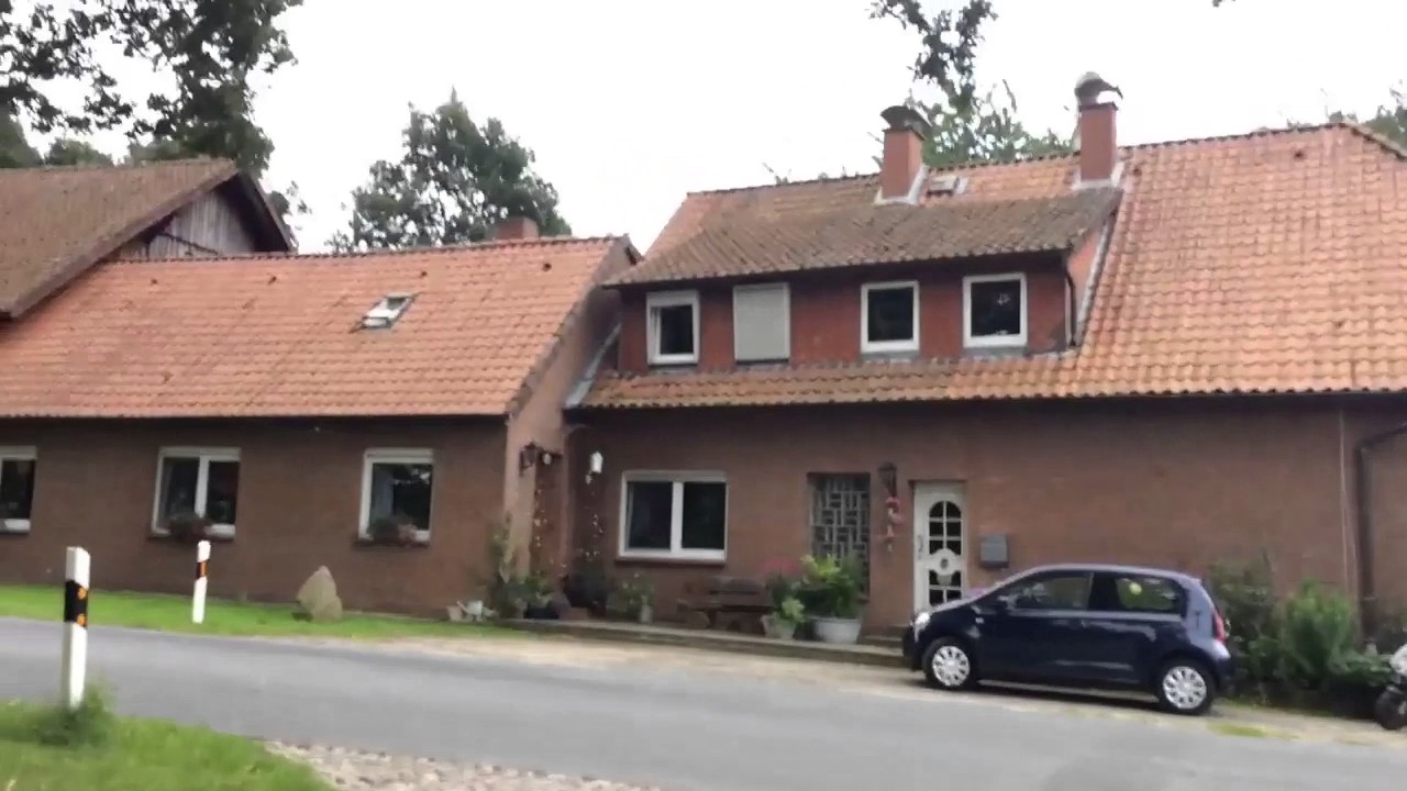 Ossi Vs Wessi | Geisteskranker Schmutz